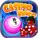 Casino Bingo Fever 2014