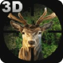 Animal Hunting 3D