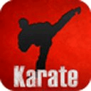 Karate Martial Arts FREE
