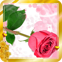Love Roses HD live wallpaper