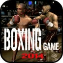 Boxing Game 2014