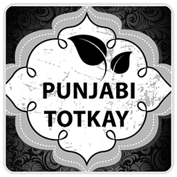 Punjabi Totkay