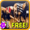 3D Dog Racing Slots - Free