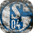 FC Schalke Knappen