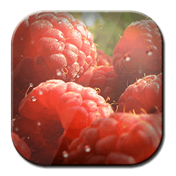 Free Wallpaper Red Raspberry