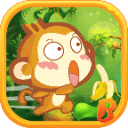Jungle Monkey 2015