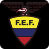 3D Ecuador Football LWP