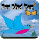 Fun Bird Run Game