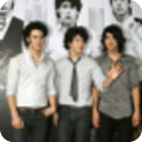 Jonas Brothers Live Wallpaper