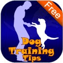 Dog Training Tips &amp; Tricks