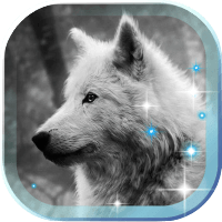 Wolf Voice HD live wallpaper