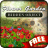 Flower Garden Hidden Objects