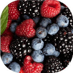 Wild berries live wallpaper