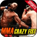 MMA Crazy Fist