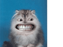 Laughing Cat LWP