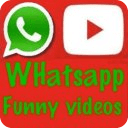 Whatsapp funny share videos