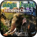 Hidden Object - Magic Forest