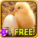 3D Hot Chick Slots - Free