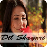 Dil Shayari