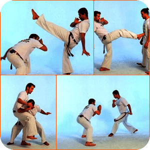 Free Capoeira Lesson