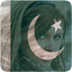 Pakistan Flag Profile Picture