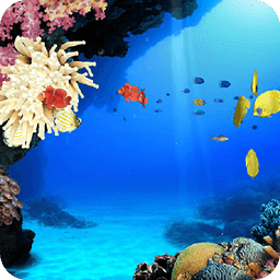 Tropical Coral Reef Watery LWP