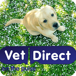 Vet Direct Pet Care Newcastle