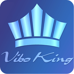 Vibo King