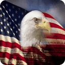 USA Eagle Live Wallpaper