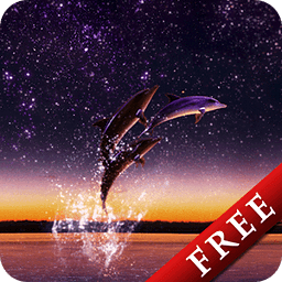 Dolphin Star Trial