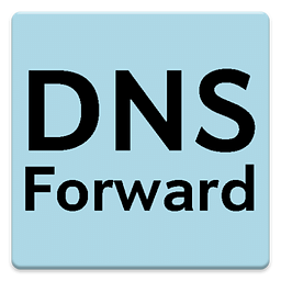 DNS Forward