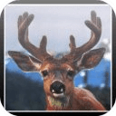 Deer Season Hunter - Tablet