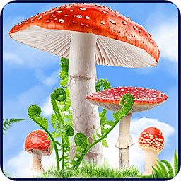Mushroom HD
