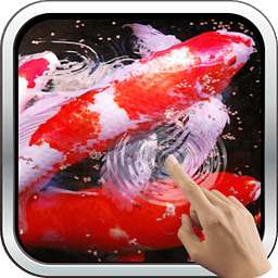 Water Effect: Bright Koi Fish