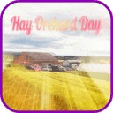 Hay Orchard Day