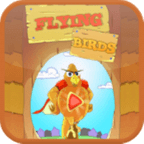 Flying Birds HD