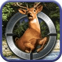 Deer Shooting Hunter 2014