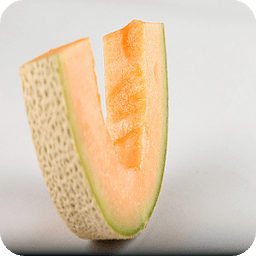 Delicious Melon