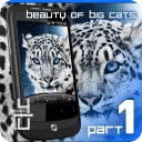 Snow Leopard HD Live Wallpaper