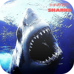 Hungry Bite Shark