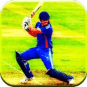 World Cricket 2014