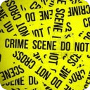Criminal Clues - CSI Case