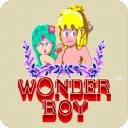 Wonder Boy (Island Adventure)
