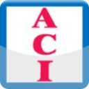 ACI Services LLC