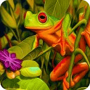 Green frog jigsaw puzzle Game