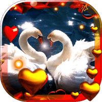 Valentine Birds live wallpaper