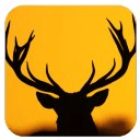 Deer Lite Wallpaper