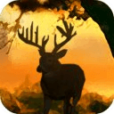 Deer Jungle Hunting 2014