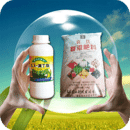 中国化肥农药