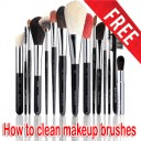 Clean Makeup Brushes